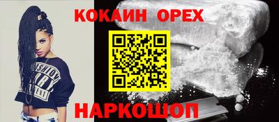 прущие грибы Будённовск