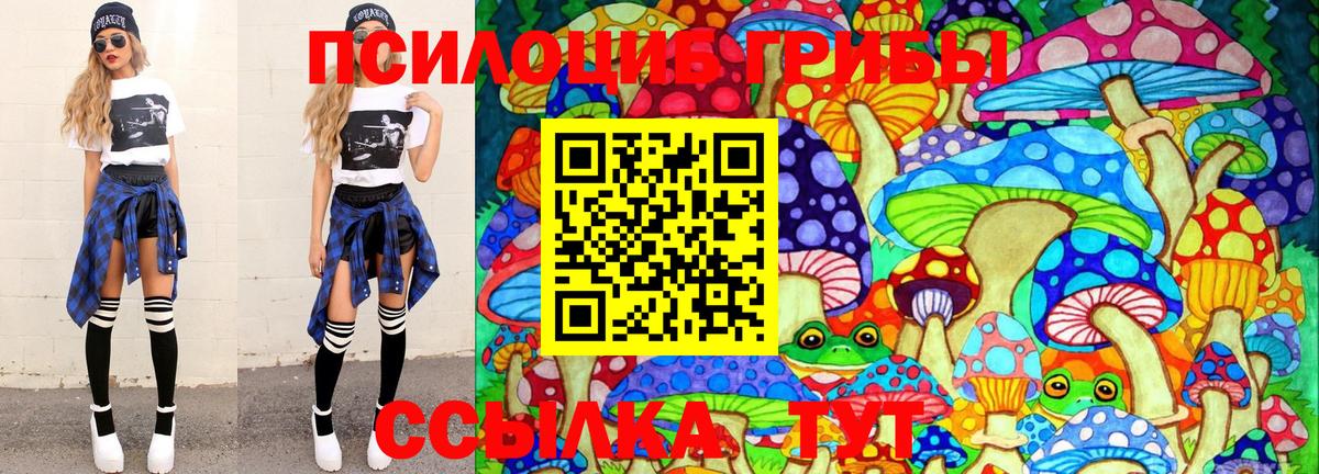Галлюциногенные грибы прущие грибы  где найти наркотики  Нижний Новгород  Вход с VPN 
